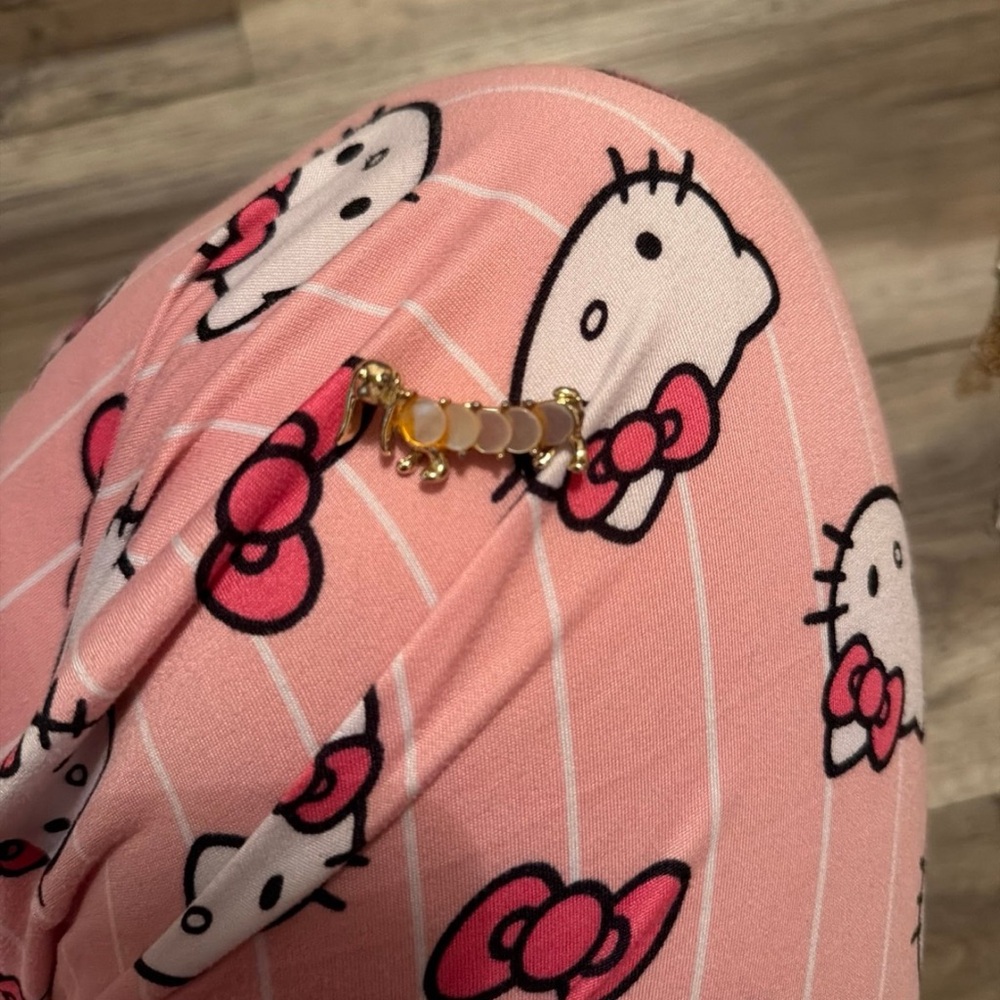 Pin dachshund